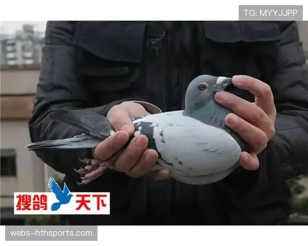 四川九百名运动员晋级竞技项目决赛 多点突破